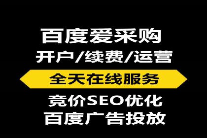 行业领先SEM服务公司案例研究